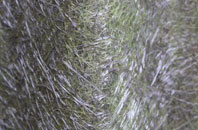 Maligar fibreglass roof work