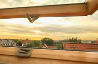 rated Maligar roof window companies